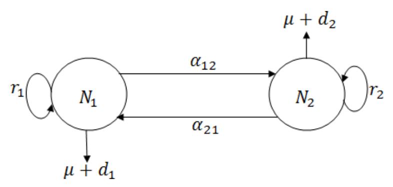 2